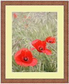 Framed - 15" x 11" (Frame - 16" x 12")