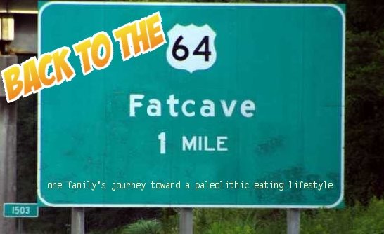 Back to the Fatcave