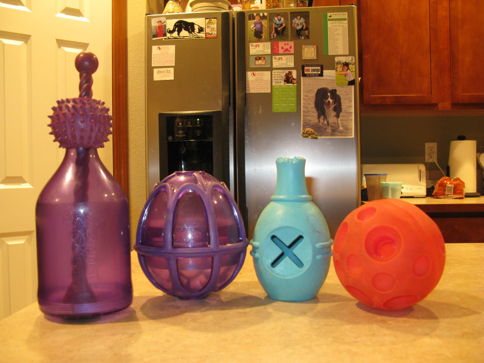 BCxFour Throw Away the Food Bowl! Dr Marty Becker