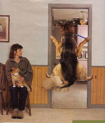 image012.jpg