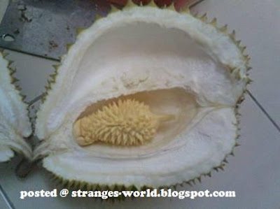Strange Durian