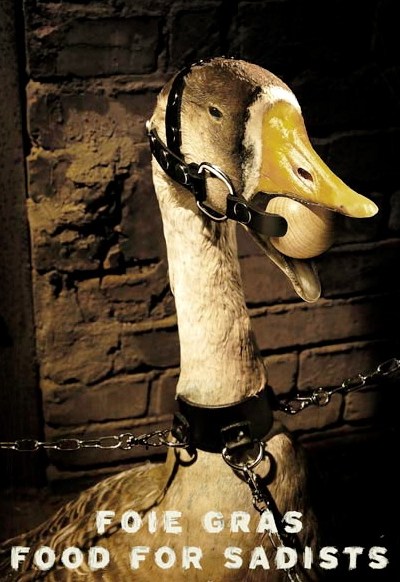 Foie gras, mad for sadister