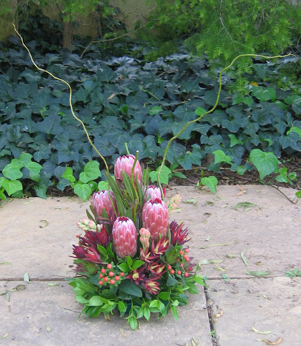 Protea bouquet