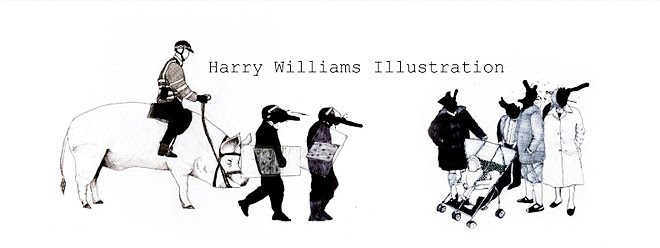 harry williams illustration