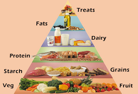 food pyramid in spanish. food pyramid pictures of food.