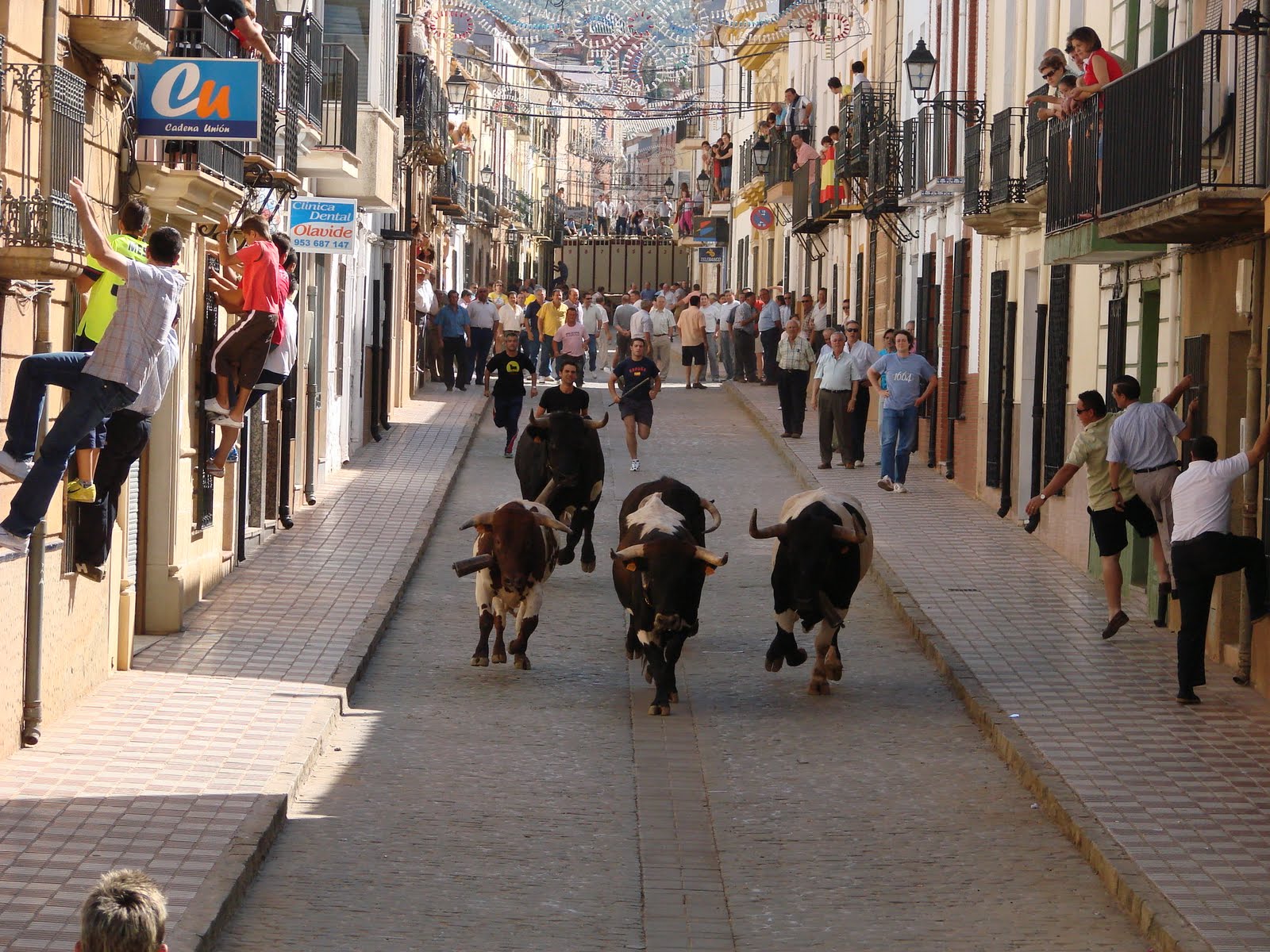 DE CATAFALCO Y ORO Feria de Navas de San Juan