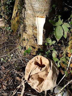 carving green wood spoon