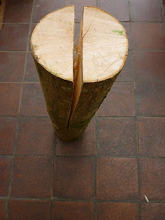 ash spoon carving first steps