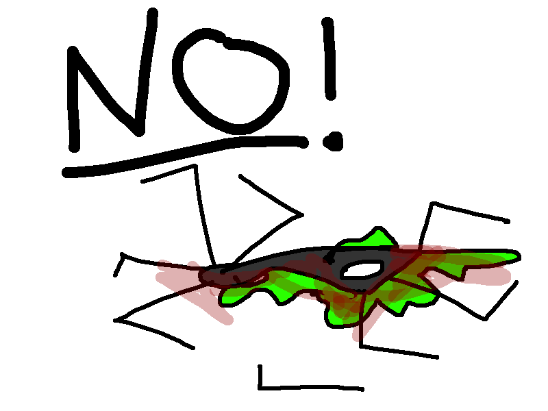 [spider2.png]