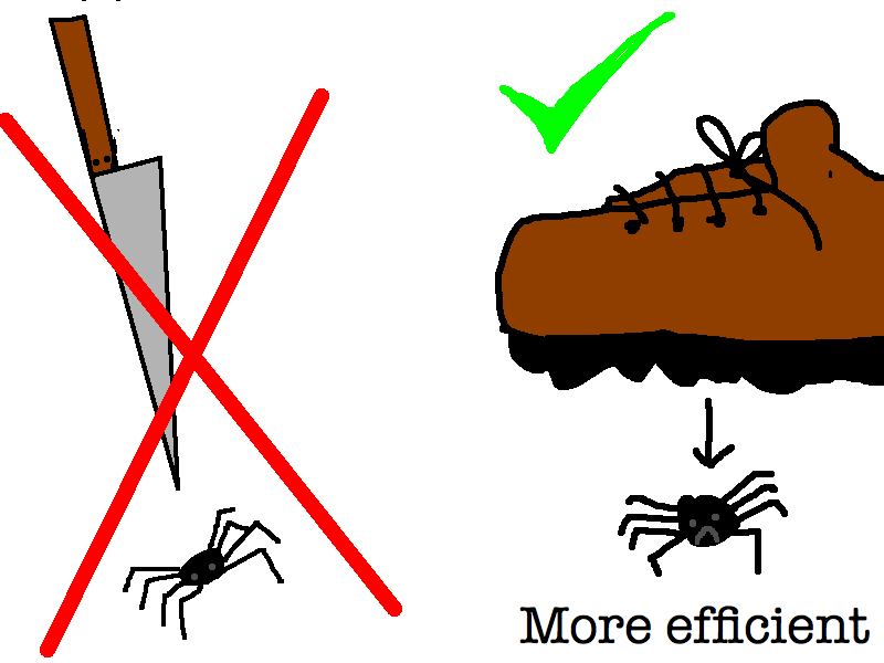 [spider11.png]