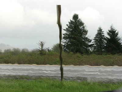 Tree shapes through the rain, Warrenton, Oregon