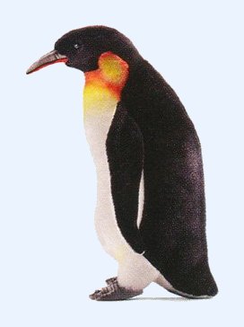 [penguin-emperor-full-grown-hansa-stuffed-f1322.jpg]