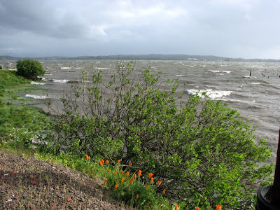 Stormy Weather on Young's Bay, Astoria, Oregon