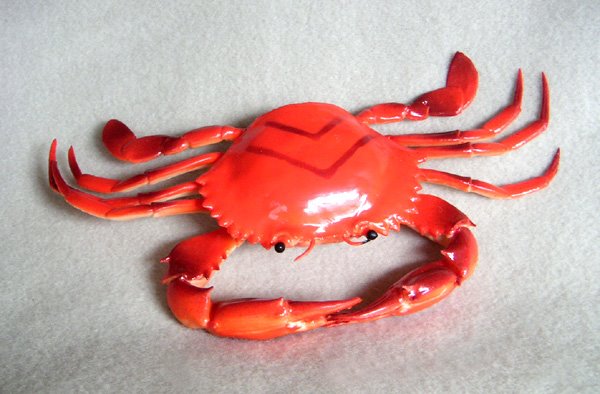 [orange-crab-plastic-f1680.jpg]