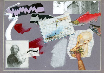 Untitled Collage, Gray with Fish