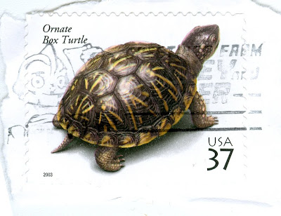 Ornate box turtle on a US postage stamp
