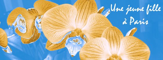 Une jeune fille a Paris