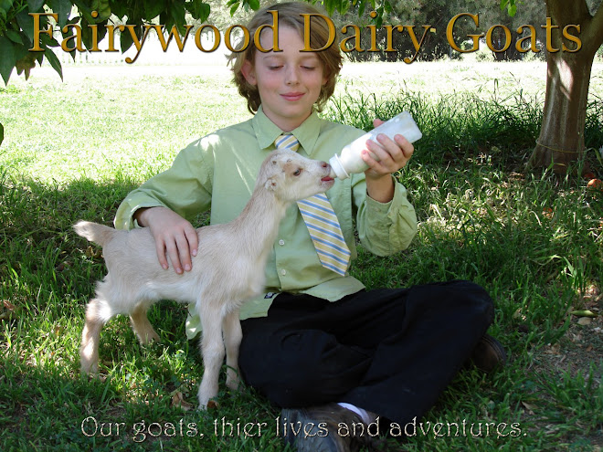Fairywood Dairy Goats