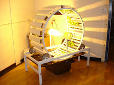 The Bonzai Hydroponic Wheel