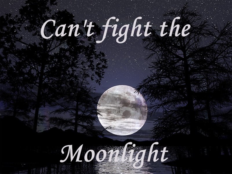 Can't fight the moonlight