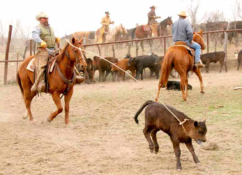 Rene Heil Ranch Photographer Wagon Creek Ranch...Throckmorton, Texas