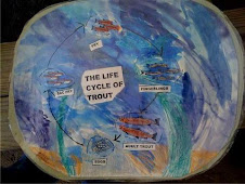 Life Cycle of Trouts
