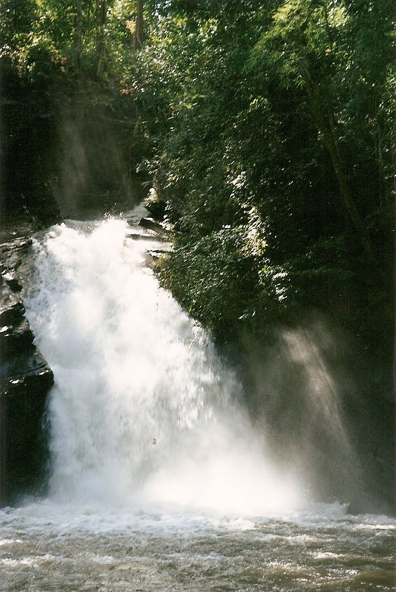 [scan0003.jpg]