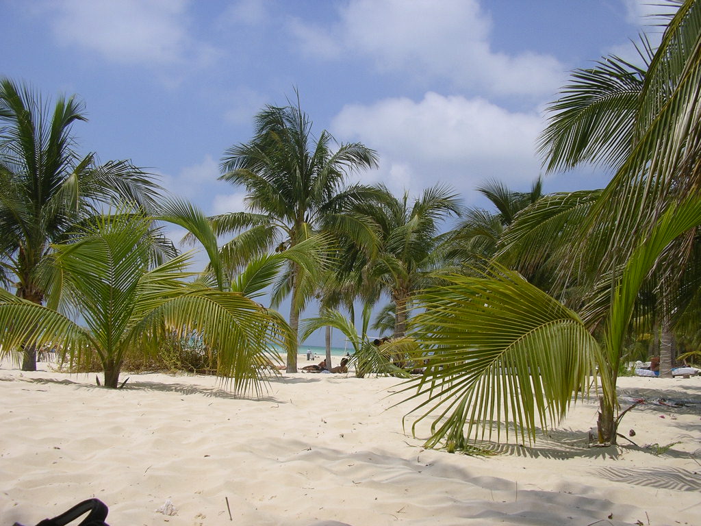 [30.+Playa+Coco.jpg]