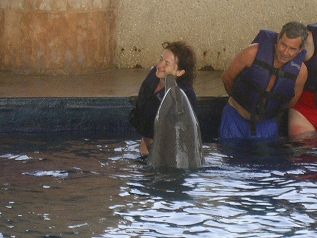 [55.+pupata+de+un+delfin.jpg]