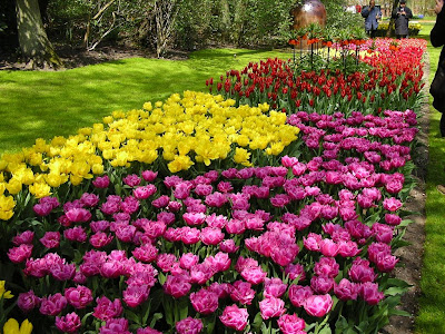 Obiective turistice Olanda: Keukenhof