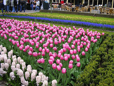 Parc floral Olanda