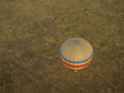 Imagini din balon peste Masai Mara