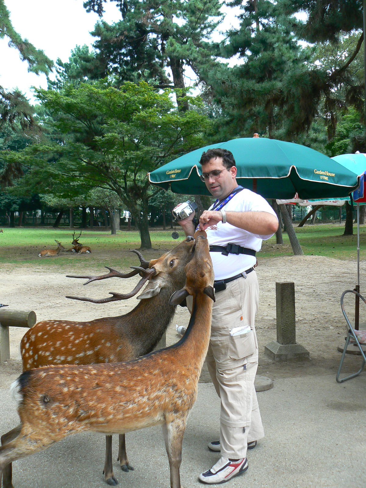 [1.+Nara.JPG]