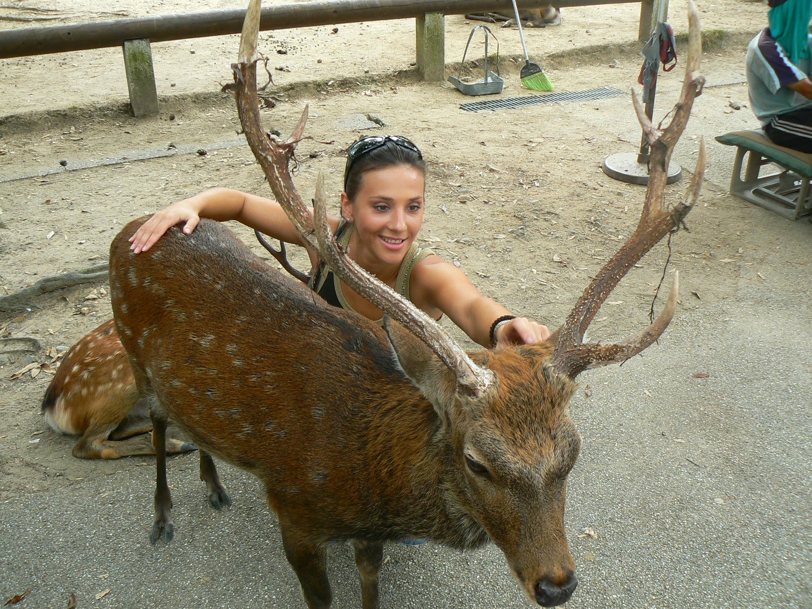 [2.+Nara.JPG]