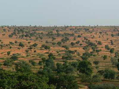 Imagini Mali: desertificare in Sahel - Pays Dogon