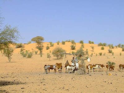 Imagini Africa: drumul spre Bamako