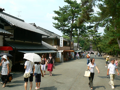 Imagini Japonia: Nara