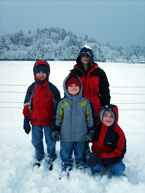 January Snow 2006