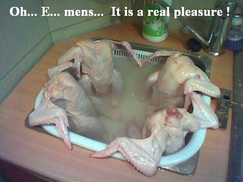 taking%20a%20bath%20chickens.jpg