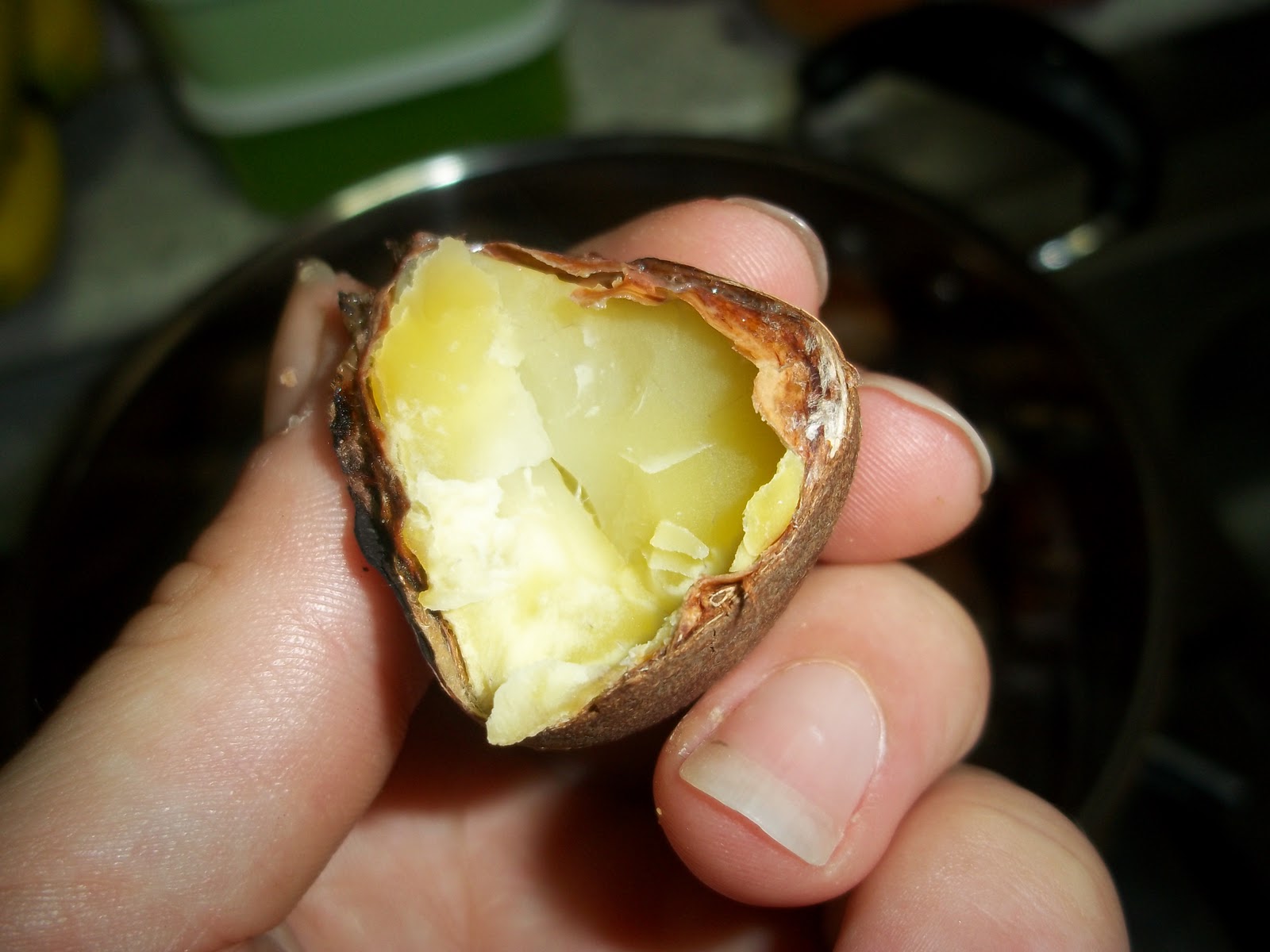 ChungJuicy Cooking in Korea Roasted Chestnuts