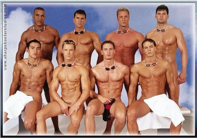 Colege Swim Team (2002) - Gay Themed Movies