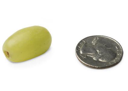 External Image