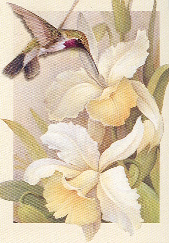 [HummingbirdNectar.jpg]