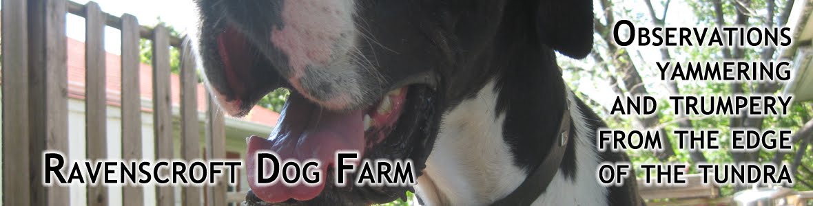 Ravenscroft Dog Farm