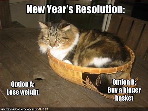 [funny-pictures-cat-ponders-his-new-years-resolutions1.jpg]