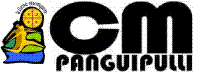 Página Corporación Municipal Panguipulli