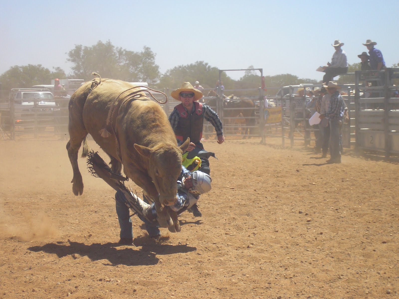 Whereiswitchwae?: Cowboys & Cowgirls @ Meeka Rodeo