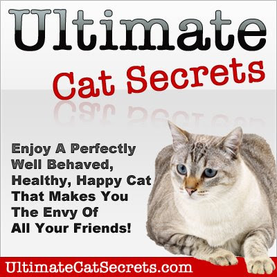 Ultimate Cat Secrets