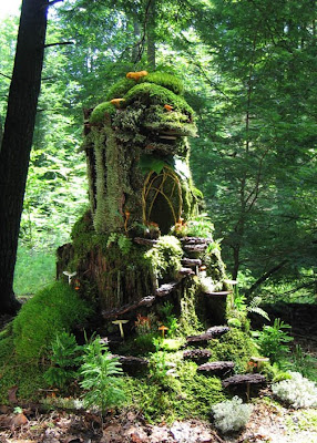 Forest+moss+house+take+2+medioum+view