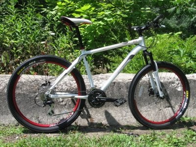 Raleigh talus 2024